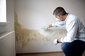 Best Water Damage & Mold Remediation  in Dunkirk, NY